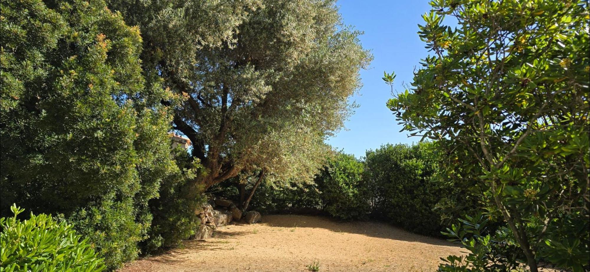 Hotel Cala Di L'Oru Л'Иль-Рус Экстерьер фото