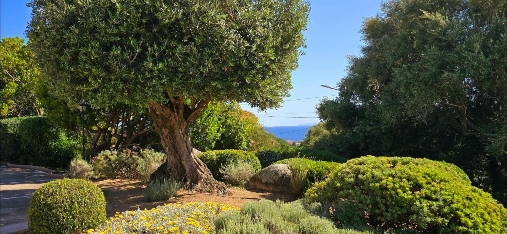 Hotel Cala Di L'Oru Л'Иль-Рус Экстерьер фото