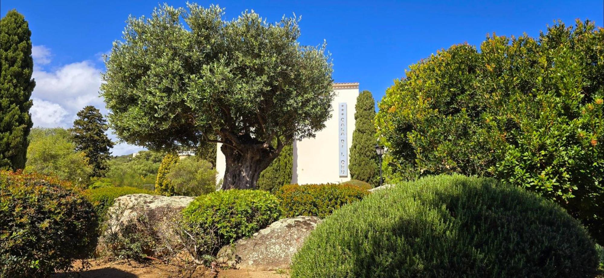 Hotel Cala Di L'Oru Л'Иль-Рус Экстерьер фото